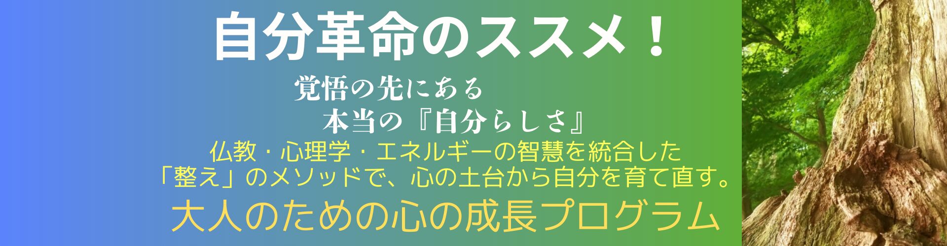 自分革命のススメ！