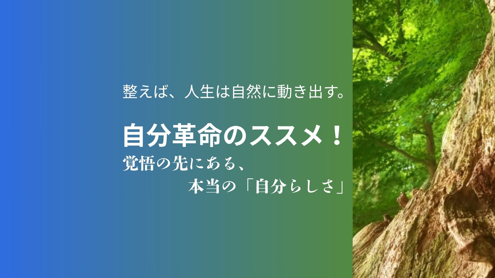 整えば、人生は自然に動き出す。 自分革命のススメ！ 覚悟の先にある、 本当の「じぶんらしさ」