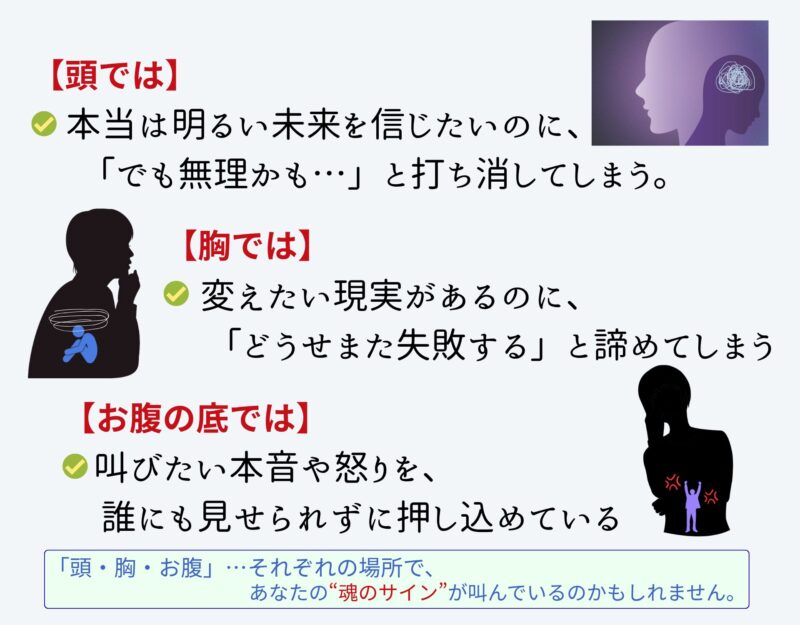 【頭では】
本当は明るい未来を信じたいのに、「でも無理かも…」と打ち消してしまう
【胸では】
変えたい現実があるのに、「どうせまた失敗する」と諦めてしまう
【お腹の底では】
叫びたい本音や怒りを、誰にも見せられずに押し込めている
「頭・胸・お腹」…それぞれの場所で、
あなたの“魂のサイン”が叫んでいるのかもしれません。